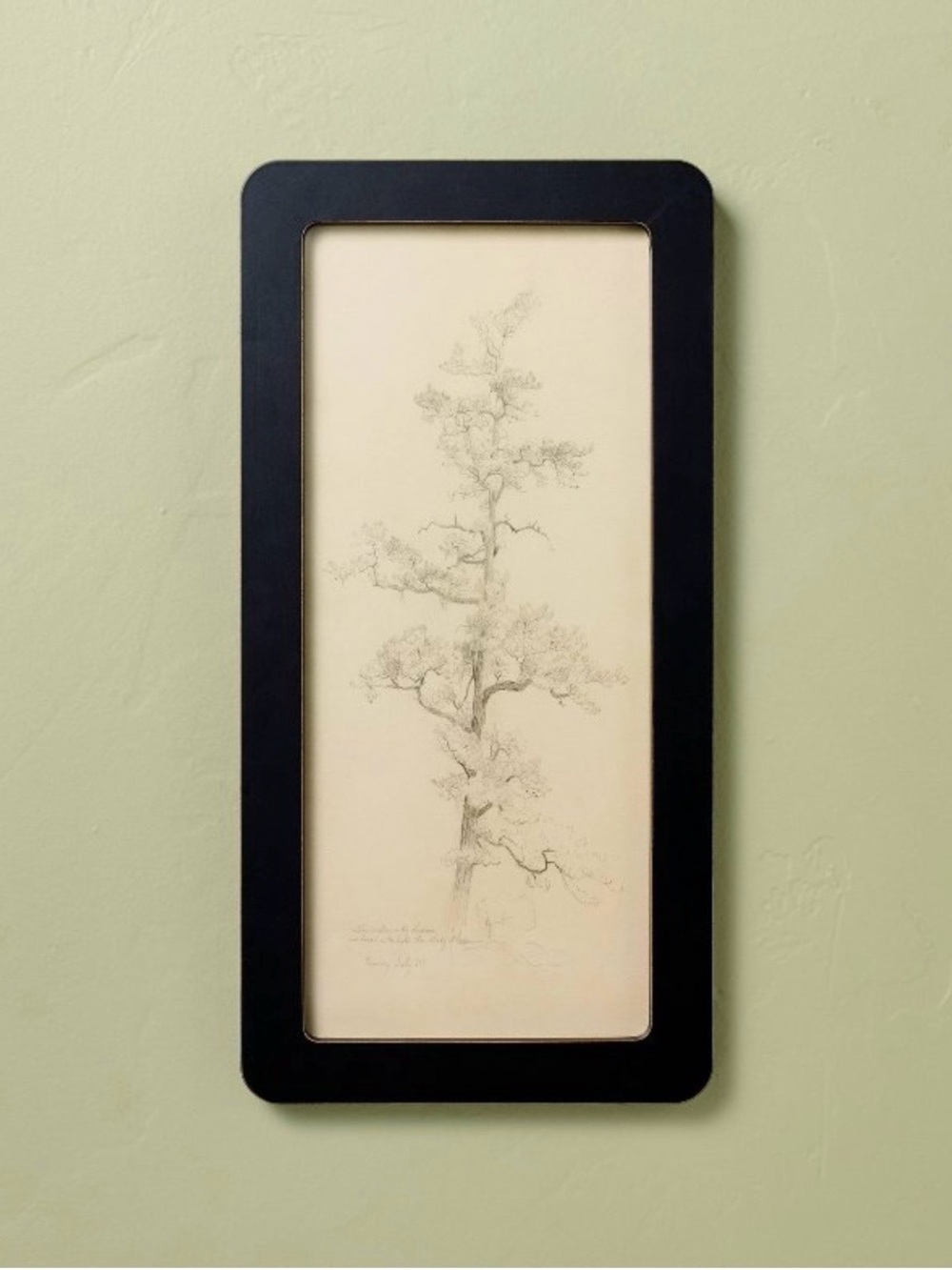 Hearth & Hand by Magnolia Black Framed Tree Sketch Wall Art